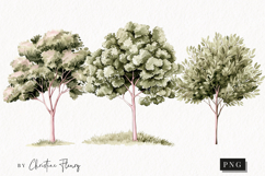 Watercolor Trees | Camping PNG Product Image 1