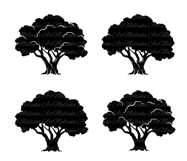Tree Silhouettes Bundle. Family Tree Svg. Botanic Decor SVG Product Image 6