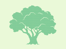 Tree Silhouettes Bundle. Family Tree Svg. Botanic Decor SVG Product Image 3