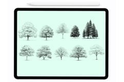 Trees Procreate Stamps - Procreate Brushes