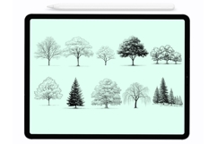 Trees Procreate Stamps - Procreate Brushes