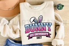 Trendy Bunny University, Embroidery Sparkly Sublimation PNG Product Image 4