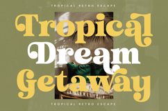 Trendy Voyage - Modern Retro Serif Product Image 6