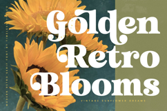 Trendy Voyage - Modern Retro Serif Product Image 9