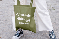 Trendy Voyage - Modern Retro Serif Product Image 13
