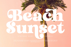 Trendy Voyage - Modern Retro Serif Product Image 15