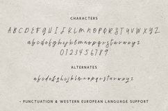 Trickster Script Product Image 10