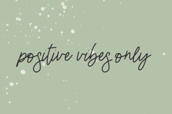 Trickster Script Product Image 7