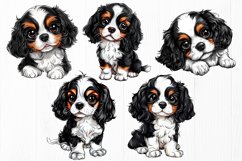 Cavalier King Charles Spaniel Clipart Bundle | 20 PNG Dogs Product Image 3