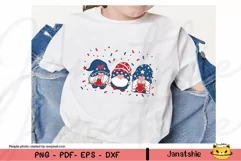 4th of July Gnome PNG clipart Product Image 2