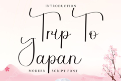 Trip To Japan Product Image 1