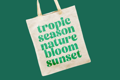 Tropic Fresh Vintage - Bold Serif Font Product Image 5