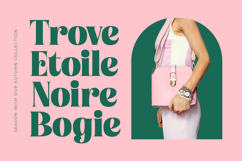 Tropic Fresh Vintage - Bold Serif Font Product Image 12
