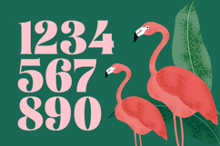 Tropic Fresh Vintage - Bold Serif Font Product Image 13