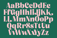 Tropic Fresh Vintage - Bold Serif Font Product Image 15
