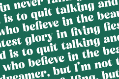 Tropic Fresh Vintage - Bold Serif Font Product Image 17