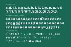 Tropic Fresh Vintage - Bold Serif Font Product Image 19