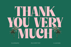 Tropic Fresh Vintage - Bold Serif Font Product Image 20