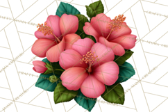 Tropical Beach Flower Clipart &amp; Clip Art PNG Product Image 4