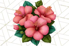 Tropical Beach Flower Clipart & Clip Art PNG Product Image 4