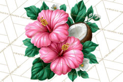 Tropical Beach Flower Clipart &amp; Clip Art PNG Product Image 5