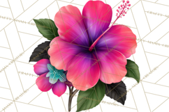 Tropical Beach Flower Clipart &amp; Clip Art PNG Product Image 4