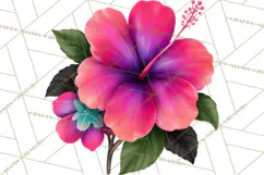 Tropical Beach Flower Clipart & Clip Art PNG Product Image 4