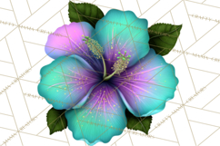 Tropical Beach Flower Clipart &amp; Clip Art PNG Product Image 2