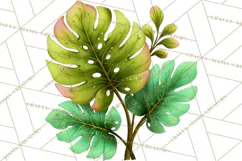 Tropical Beach Flower Clipart & Clip Art PNG Product Image 5