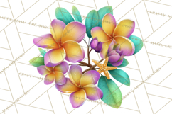 Tropical Beach Flower Clipart &amp; Clip Art PNG Product Image 3
