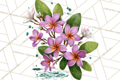 Tropical Beach Flower Clipart &amp; Clip Art PNG Product Image 5