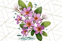 Tropical Beach Flower Clipart & Clip Art PNG Product Image 5