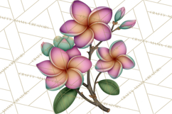 Tropical Beach Flower Clipart &amp; Clip Art PNG Product Image 2