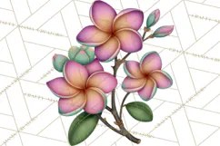 Tropical Beach Flower Clipart & Clip Art PNG Product Image 2