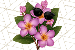 Tropical Beach Flower Clipart &amp; Clip Art PNG Product Image 4