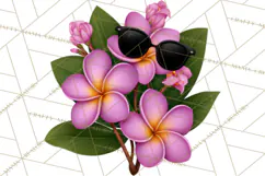 Tropical Beach Flower Clipart & Clip Art PNG Product Image 4
