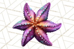 Tropical Beach Flower Clipart &amp; Clip Art PNG Product Image 4