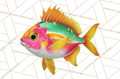 Tropical Beach Flower Clipart &amp; Clip Art PNG Product Image 4