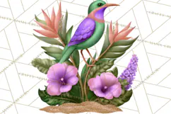 Tropical Beach Flower Clipart & Clip Art PNG Product Image 3