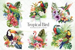 Tropical Bird Watercolor Sublimation Clipart Product Image 1