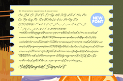 Tropical Coastal - Modern Handbrush Font Product Image 17