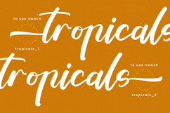 Tropical Crystals - Bold Calligraphy Font Product Image 6