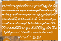 Tropical Crystals - Bold Calligraphy Font Product Image 19