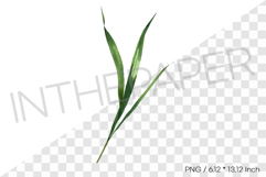 Tropical Grass Blade Leaf Tropical Summer Clipart Watercolor Product Image 1