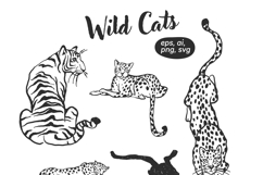 Wild Cats Product Image 2