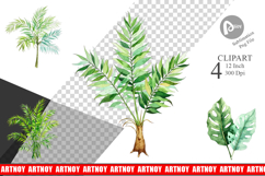 Tropical Palms Clipart Product Image 1