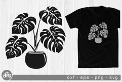 Tropical Potted Plant Monstera Deliciosa Svg Design Product Image 1