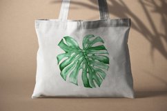 Watercolor Summer Tropical Clipart - Monstera Watercolor Product Image 3