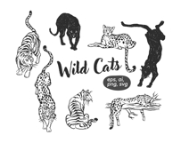 Wild Cats Product Image 4