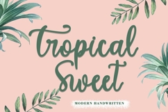 Beautiful Fonts &amp; Summer Element Bundle Product Image 21